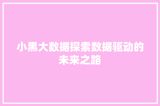 小黑大数据探索数据驱动的未来之路