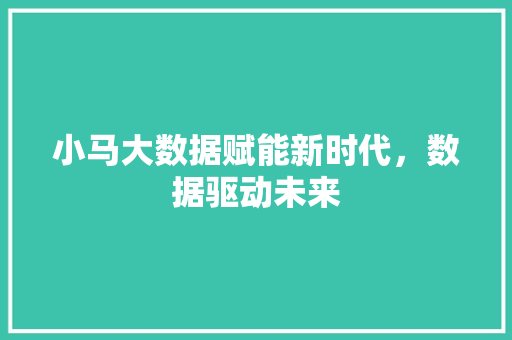 小马大数据赋能新时代，数据驱动未来