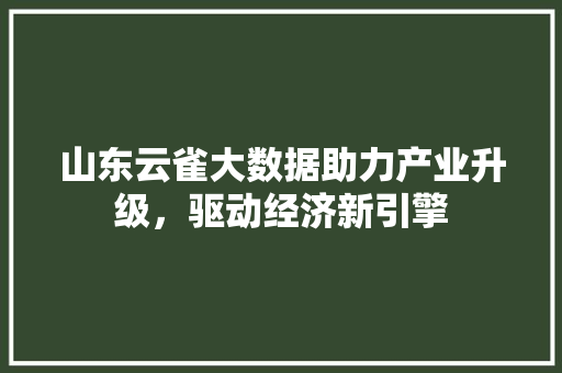 山东云雀大数据助力产业升级，驱动经济新引擎