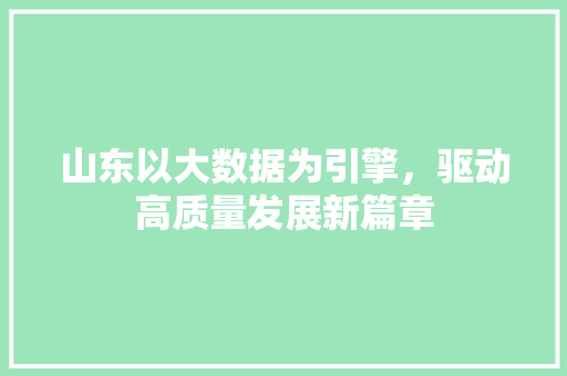 山东以大数据为引擎，驱动高质量发展新篇章  第1张