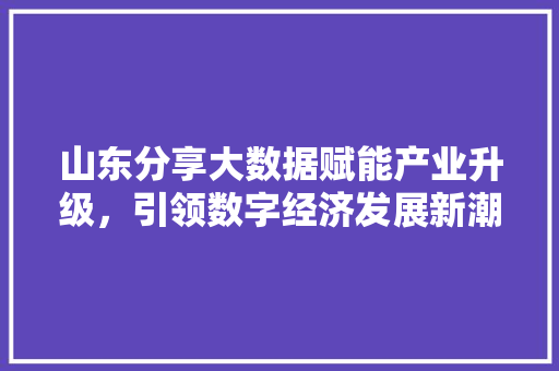 山东分享大数据赋能产业升级，引领数字经济发展新潮流  第1张