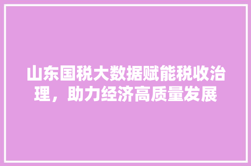 山东国税大数据赋能税收治理，助力经济高质量发展  第1张