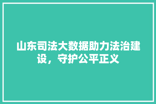 山东司法大数据助力法治建设，守护公平正义  第1张