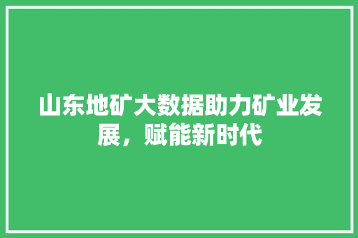 山东地矿大数据助力矿业发展，赋能新时代