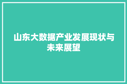 山东大数据产业发展现状与未来展望