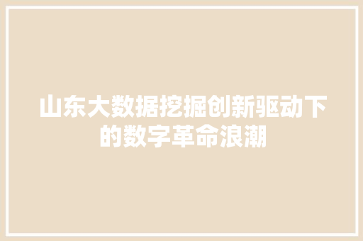 山东大数据挖掘创新驱动下的数字革命浪潮