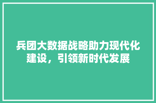 兵团大数据战略助力现代化建设，引领新时代发展
