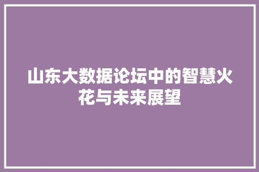 山东大数据论坛中的智慧火花与未来展望  第1张