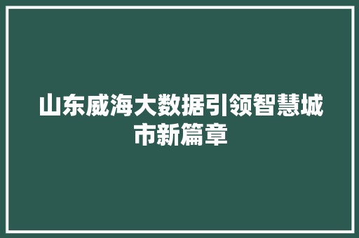 山东威海大数据引领智慧城市新篇章  第1张