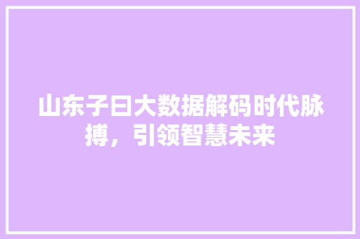 山东子曰大数据解码时代脉搏，引领智慧未来