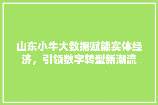 山东小牛大数据赋能实体经济，引领数字转型新潮流