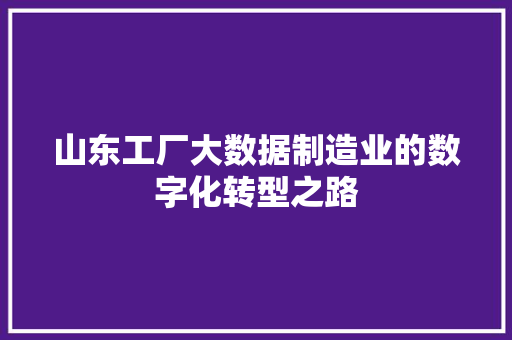 山东工厂大数据制造业的数字化转型之路