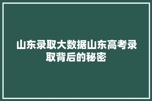 山东录取大数据山东高考录取背后的秘密