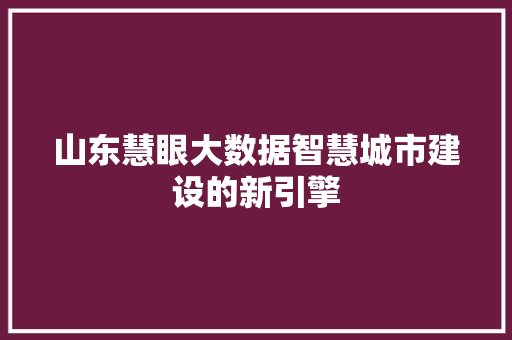 山东慧眼大数据智慧城市建设的新引擎  第1张