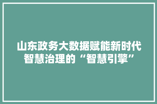 山东政务大数据赋能新时代智慧治理的“智慧引擎”  第1张