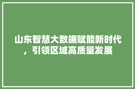 山东智慧大数据赋能新时代，引领区域高质量发展  第1张