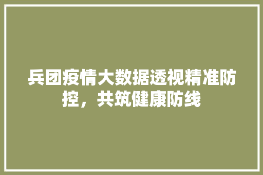 兵团疫情大数据透视精准防控，共筑健康防线