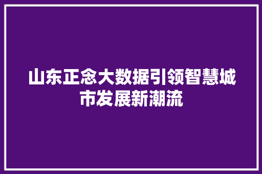 山东正念大数据引领智慧城市发展新潮流