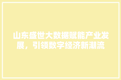 山东盛世大数据赋能产业发展，引领数字经济新潮流  第1张