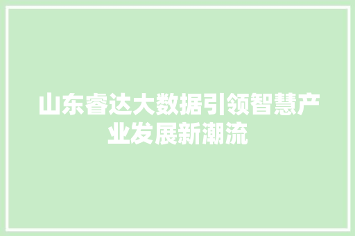 山东睿达大数据引领智慧产业发展新潮流  第1张