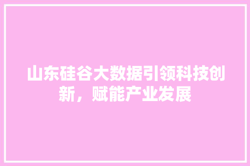 山东硅谷大数据引领科技创新，赋能产业发展  第1张