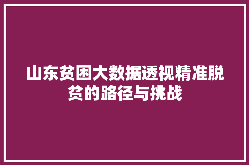 山东贫困大数据透视精准脱贫的路径与挑战