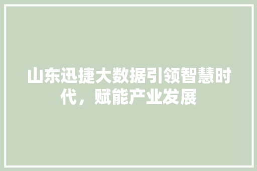 山东迅捷大数据引领智慧时代，赋能产业发展