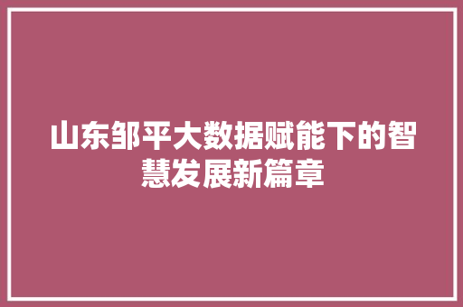 山东邹平大数据赋能下的智慧发展新篇章