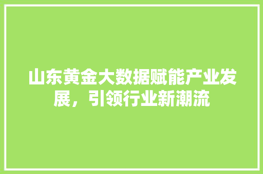 山东黄金大数据赋能产业发展，引领行业新潮流  第1张