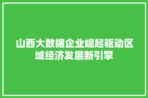 山西大数据企业崛起驱动区域经济发展新引擎  第1张