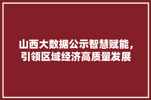 山西大数据公示智慧赋能，引领区域经济高质量发展  第1张