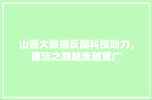 山西大数据反腐科技助力，廉洁之路越走越宽广