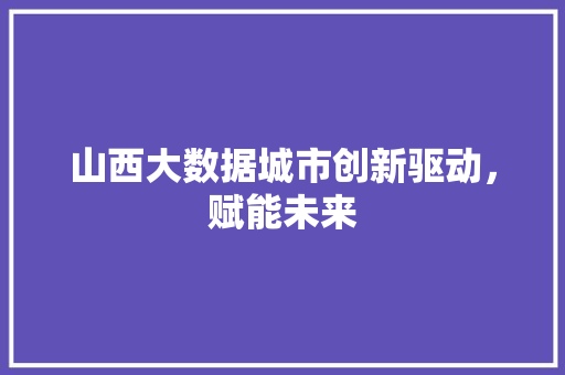 山西大数据城市创新驱动，赋能未来  第1张