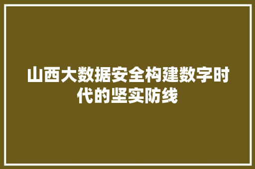 山西大数据安全构建数字时代的坚实防线  第1张