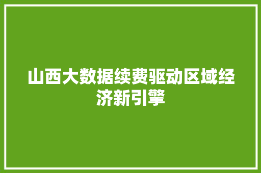 山西大数据续费驱动区域经济新引擎  第1张