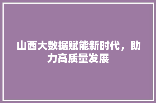 山西大数据赋能新时代，助力高质量发展  第1张