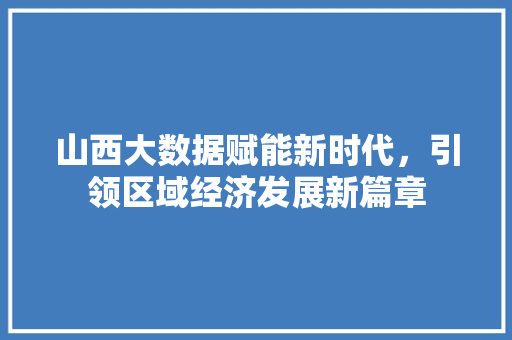 山西大数据赋能新时代，引领区域经济发展新篇章  第1张