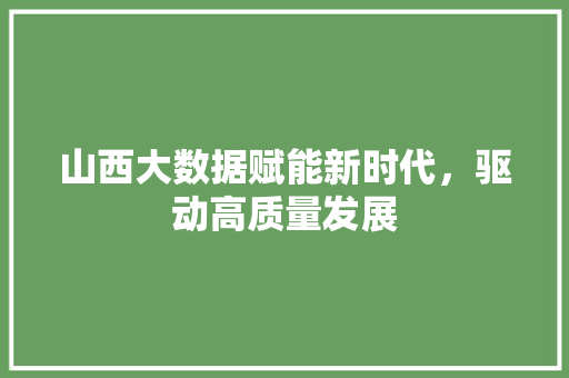 山西大数据赋能新时代，驱动高质量发展  第1张