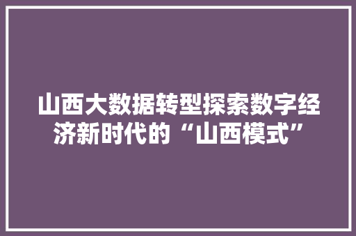 山西大数据转型探索数字经济新时代的“山西模式”  第1张