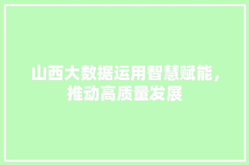 山西大数据运用智慧赋能，推动高质量发展