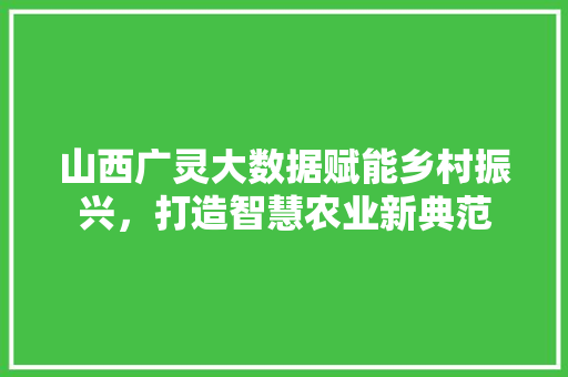 山西广灵大数据赋能乡村振兴，打造智慧农业新典范