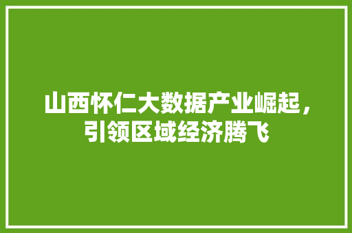 山西怀仁大数据产业崛起，引领区域经济腾飞