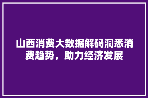 山西消费大数据解码洞悉消费趋势，助力经济发展  第1张