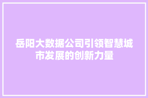 岳阳大数据公司引领智慧城市发展的创新力量  第1张