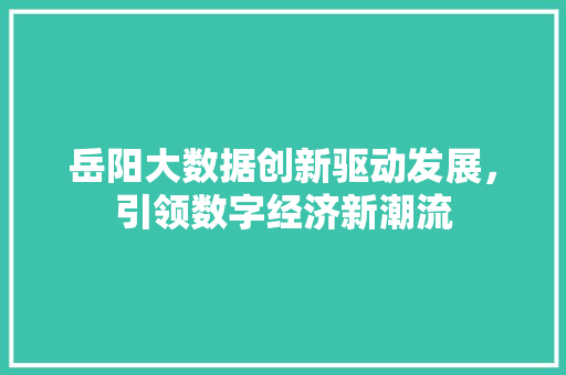 岳阳大数据创新驱动发展，引领数字经济新潮流  第1张