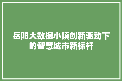 岳阳大数据小镇创新驱动下的智慧城市新标杆  第1张