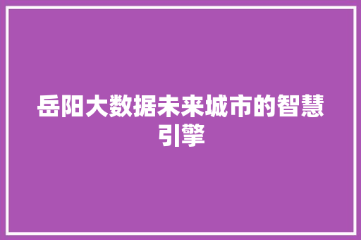 岳阳大数据未来城市的智慧引擎