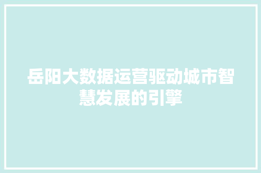 岳阳大数据运营驱动城市智慧发展的引擎