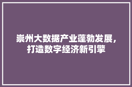 崇州大数据产业蓬勃发展，打造数字经济新引擎