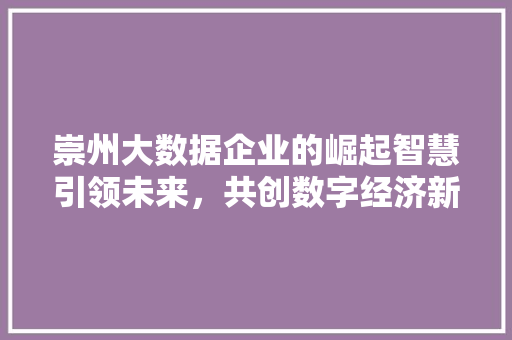 崇州大数据企业的崛起智慧引领未来，共创数字经济新篇章